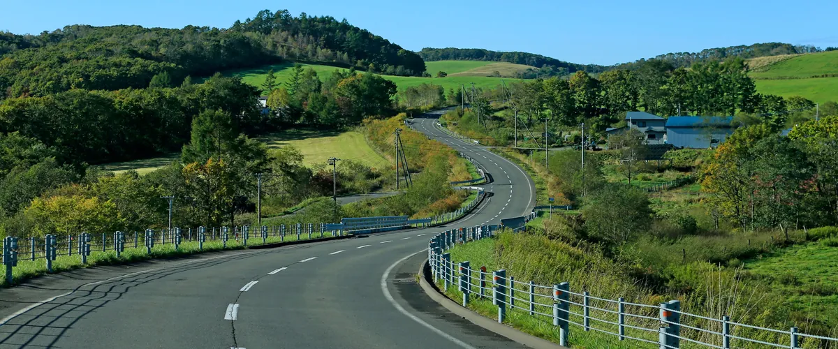 Country road winding between naturally green fields