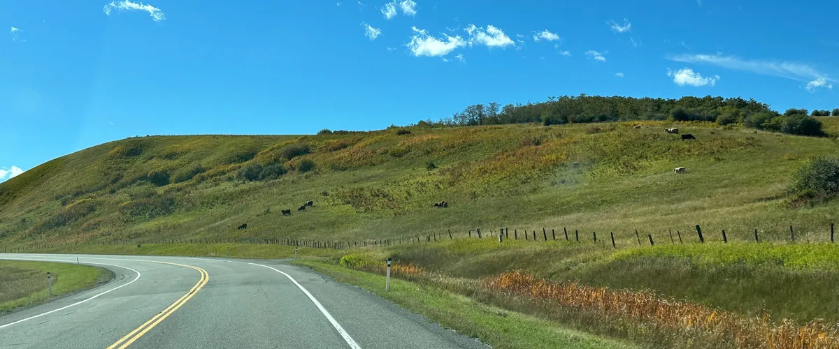 Open pasture with a road curving through muted green hills